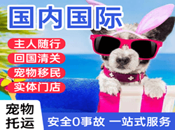 博鳌空运代理国际宠物托运 【国